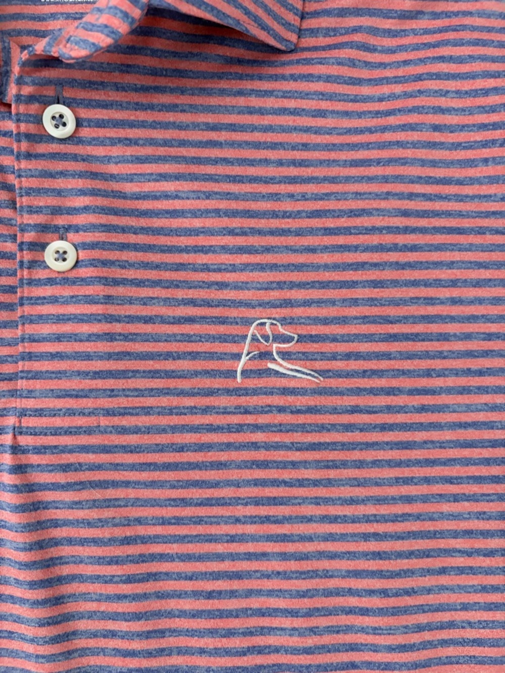Rhoback “The Mambo Taxi” Men’s Polo - Small